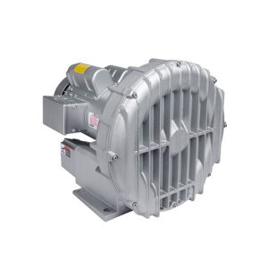 Máy thổi khí R5125-2, 2.5HP, Gast-Mỹ